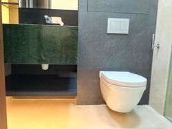 Dunearn 386 (D11), Apartment #434294091